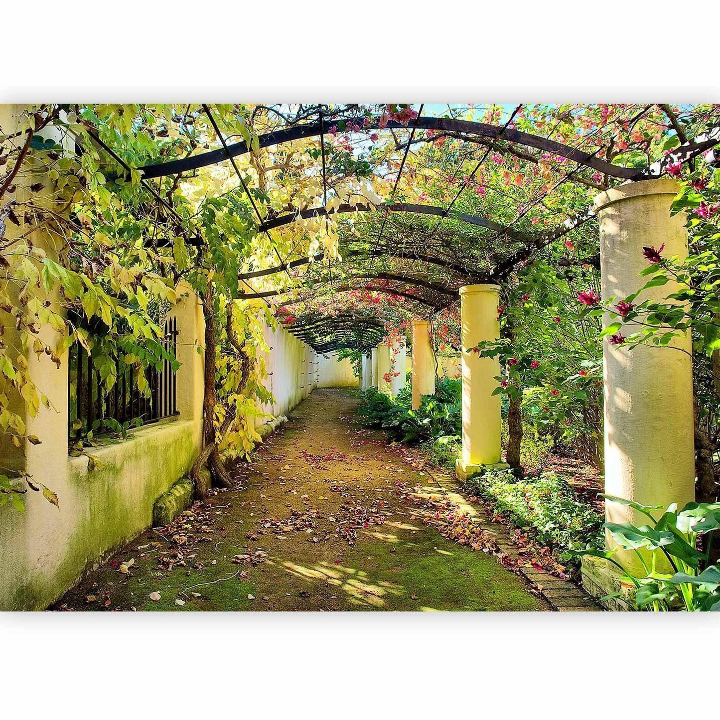 Fototapete - Pergola Artgeist