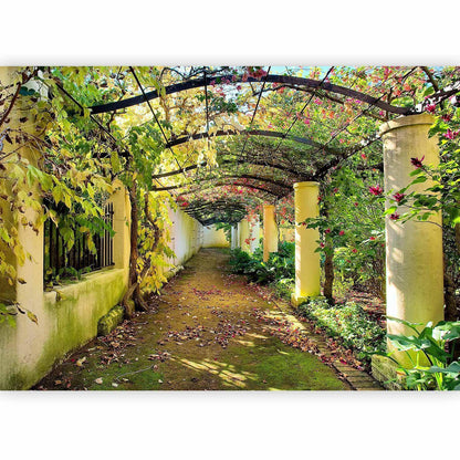 Fototapete - Pergola Artgeist