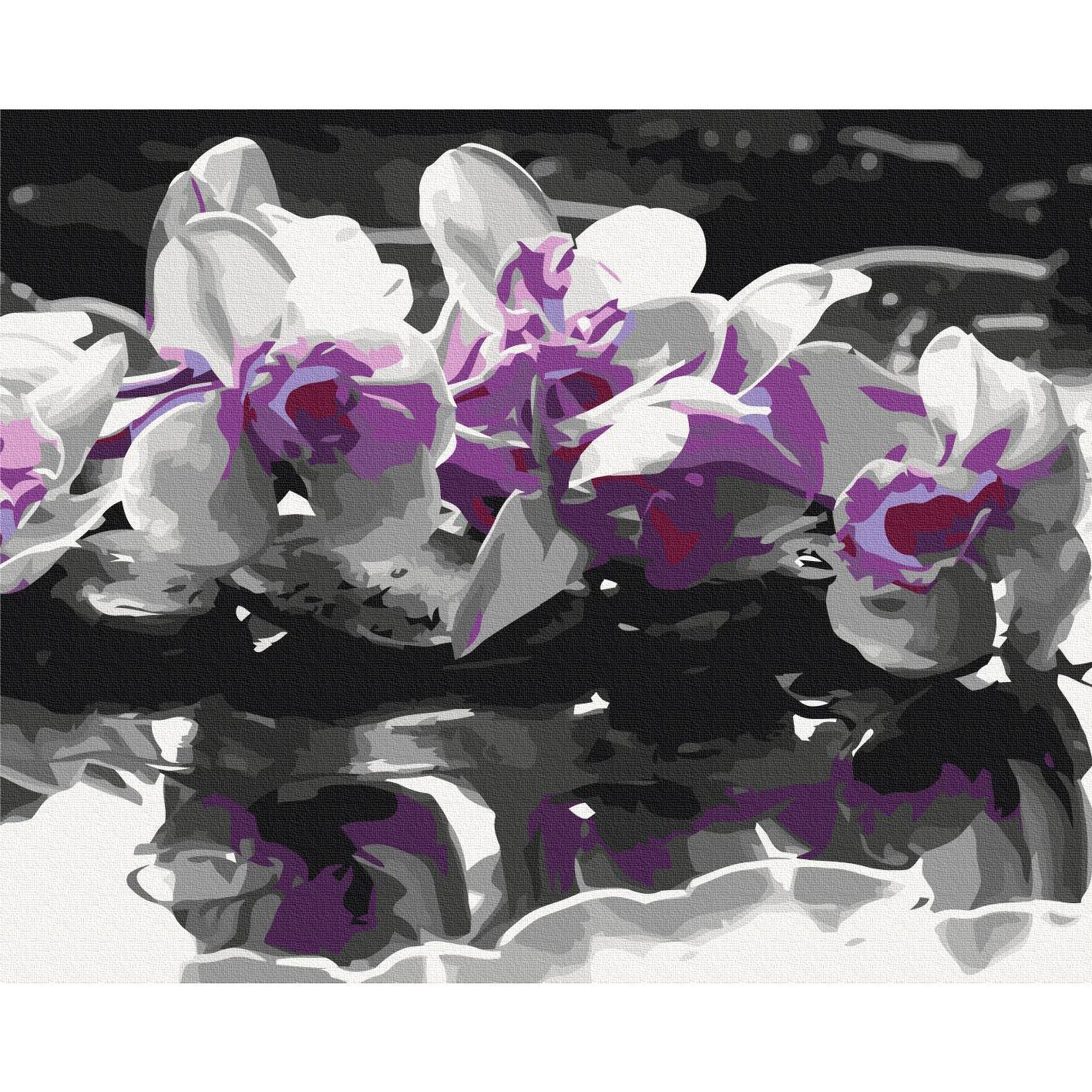 Malen nach Zahlen - Purple Orchid (Black Background & Reflection In The Water)