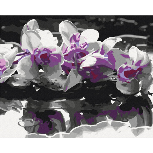 Malen nach Zahlen - Purple Orchid (Black Background & Reflection In The Water)