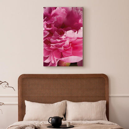 Leinwandbild - Blossom of Beauty (1-part) - Pink Peony Flower Embraced by Nature