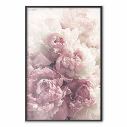 Poster - Delicate Peonies