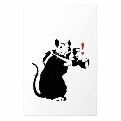 Poster - Photographer Rat