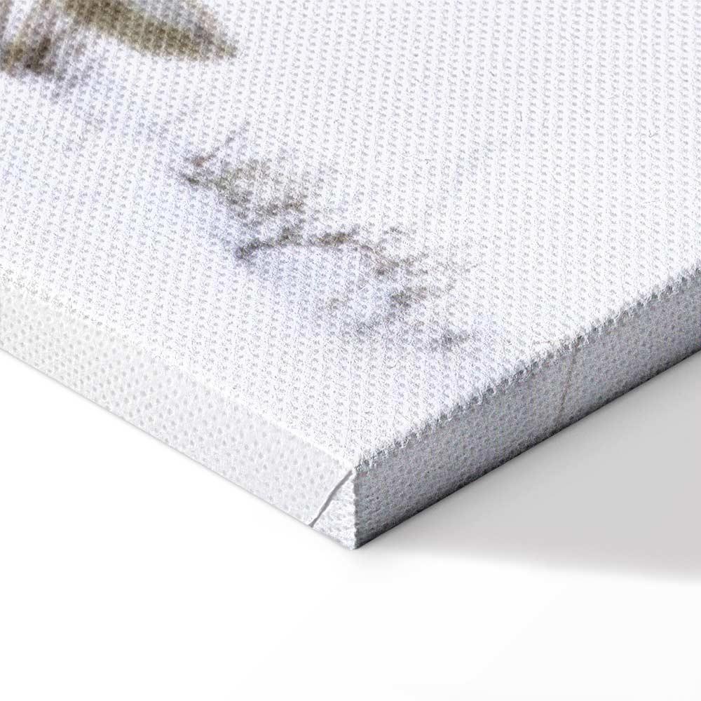 Leinwandbild - Hare (1 Part) Wide