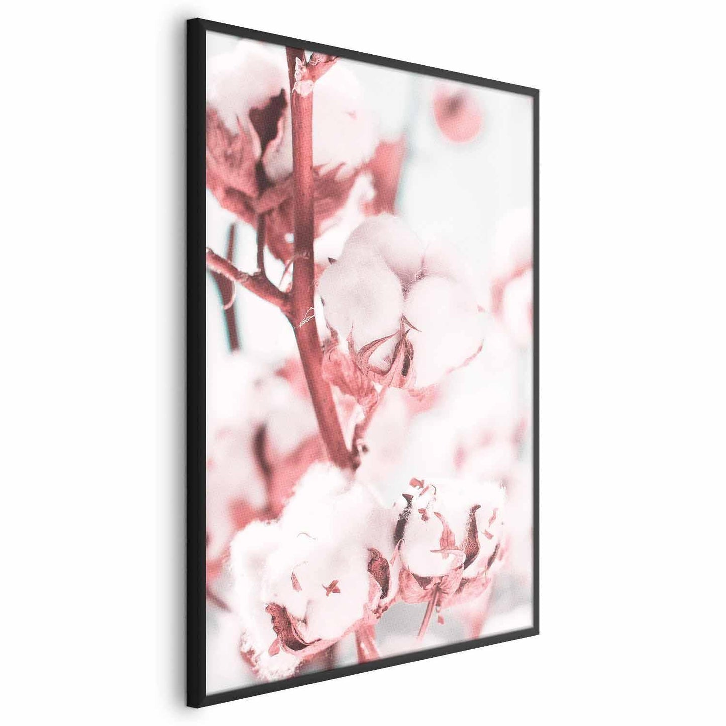 Poster - Cotton in Bloom Artgeist