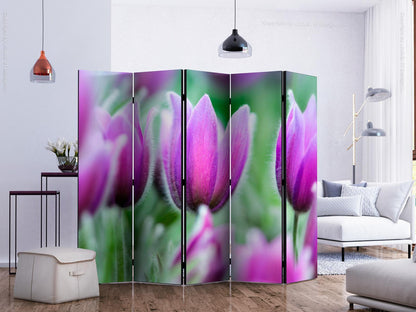Paravent - Purple spring tulips II Artgeist