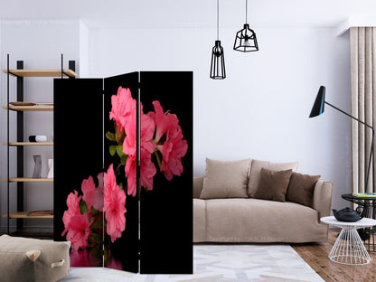 Paravent - Azalea in Black Artgeist