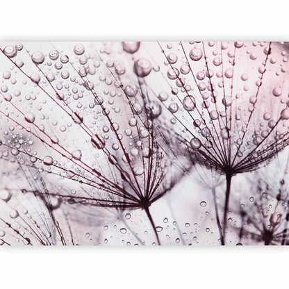 Fototapete „Regenzeit“ – Sanfte Regentöne für entspannte Wohnatmosphäre