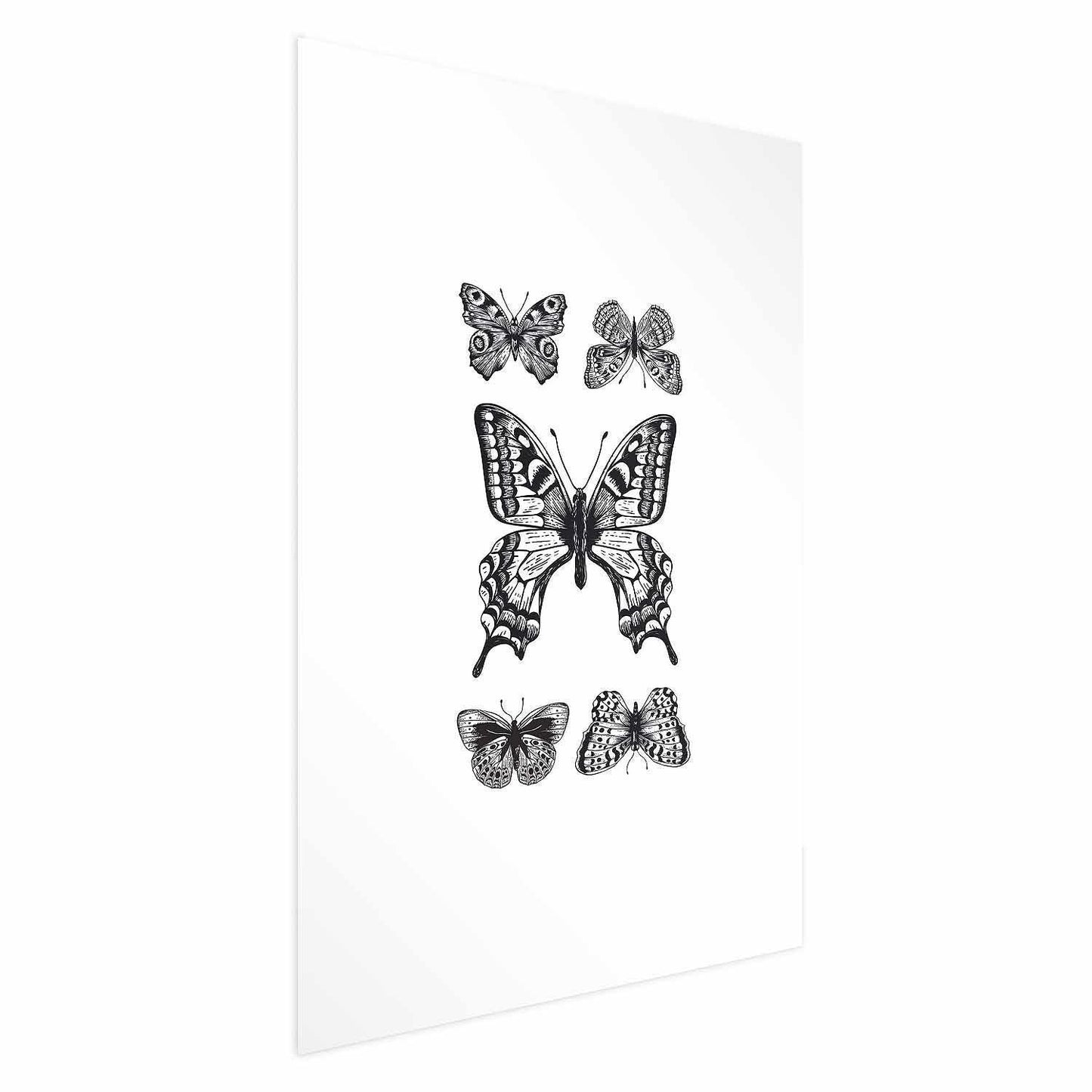 Poster - Five Butterflies Artgeist