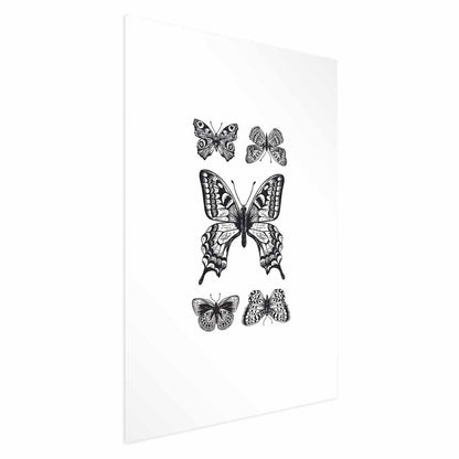 Poster - Five Butterflies Artgeist