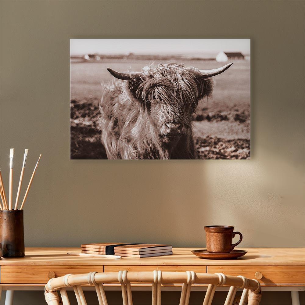 Leinwandbild - A Scottish Cow in Sepia