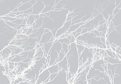 Fototapete - White Trees Artgeist