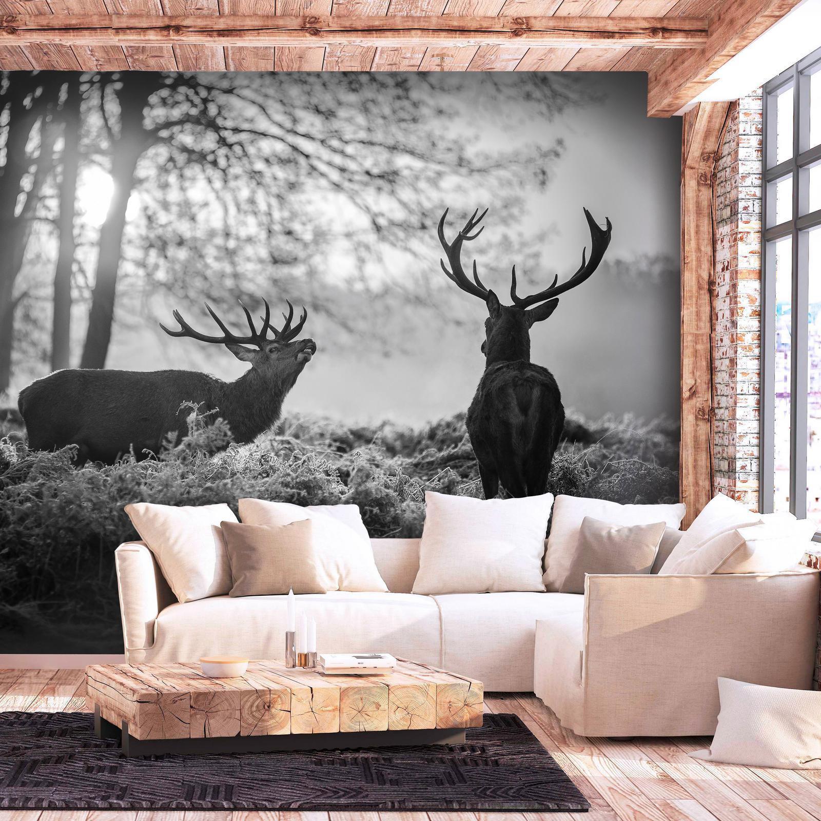 Fototapete - Deers in the Morning Artgeist