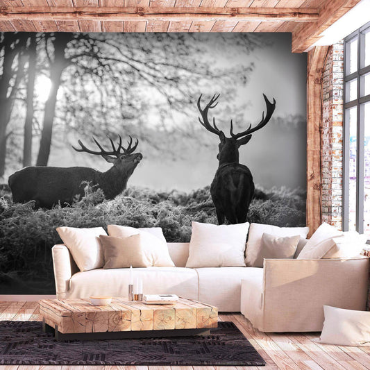 Fototapete - Deers in the Morning Artgeist