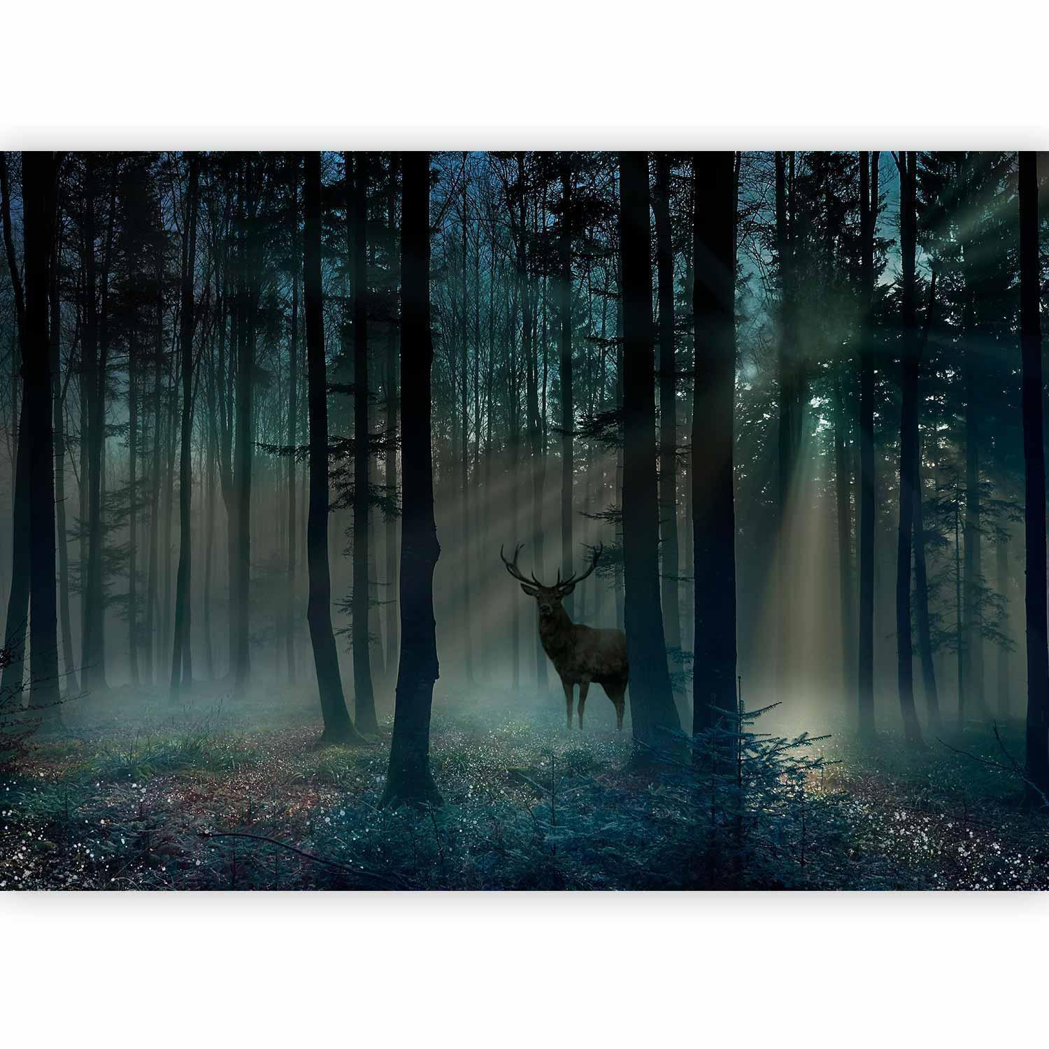 Fototapete - Mystical Forest - Third Variant Artgeist