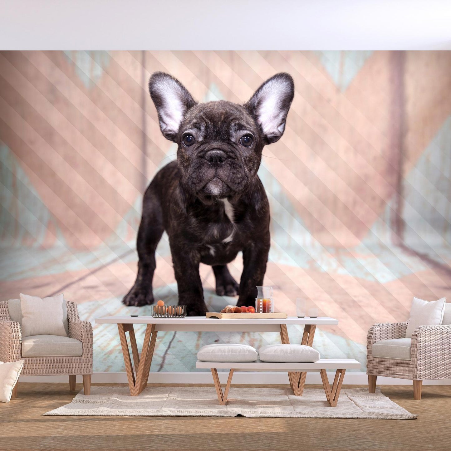 Fototapete - French Bulldog Artgeist
