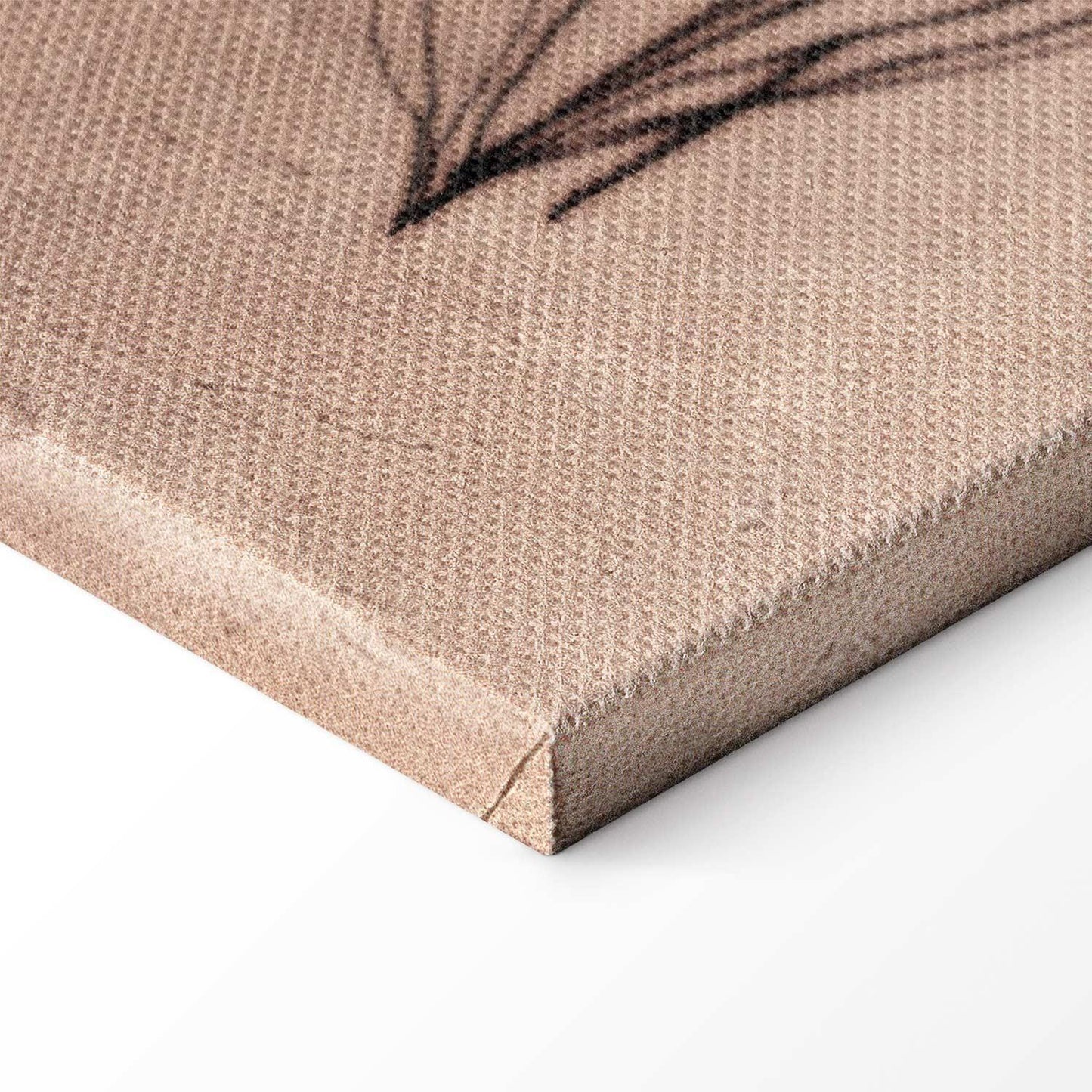 Leinwandbild - Wildflowers – black plants on lime-wash background