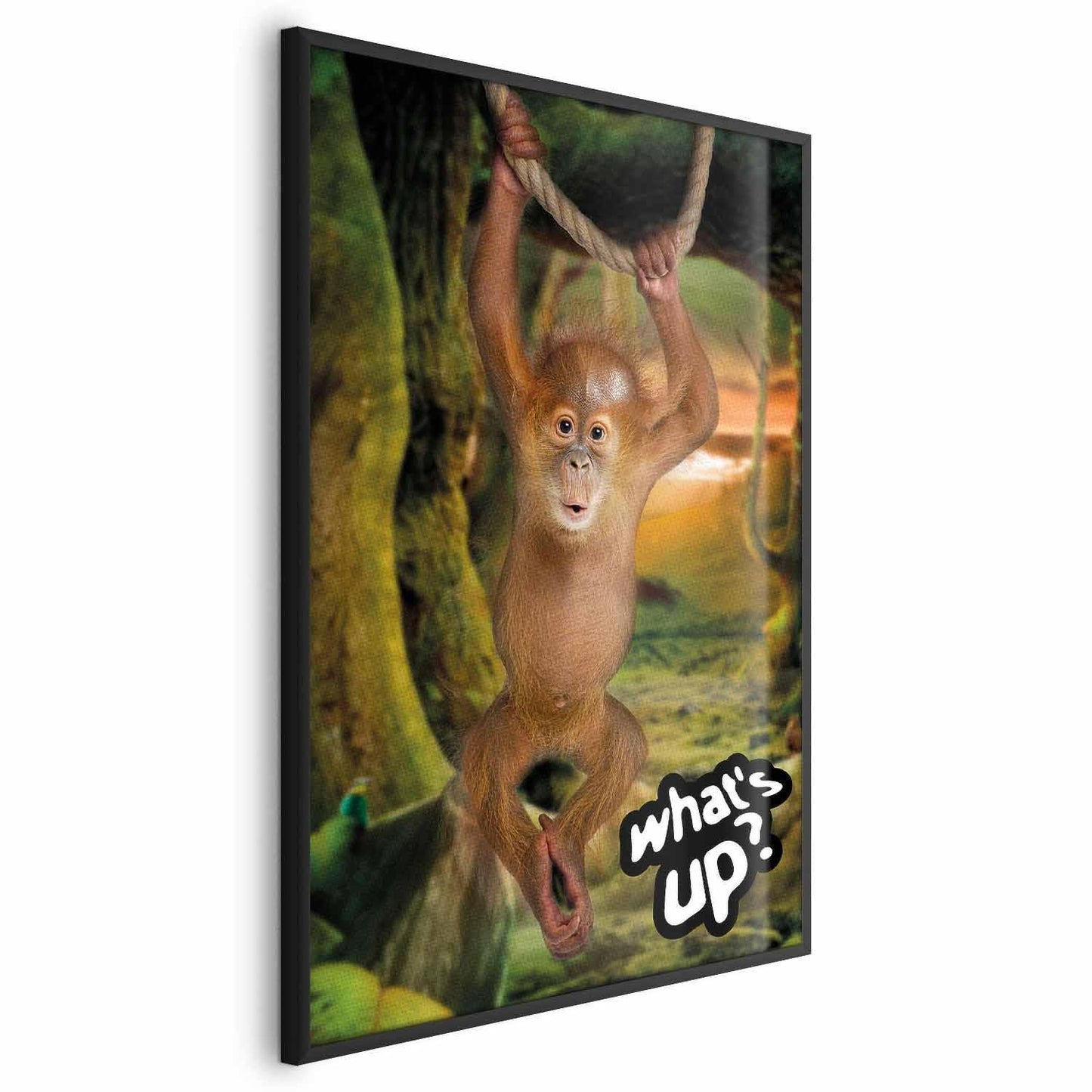 Poster - What's Up? Artgeist