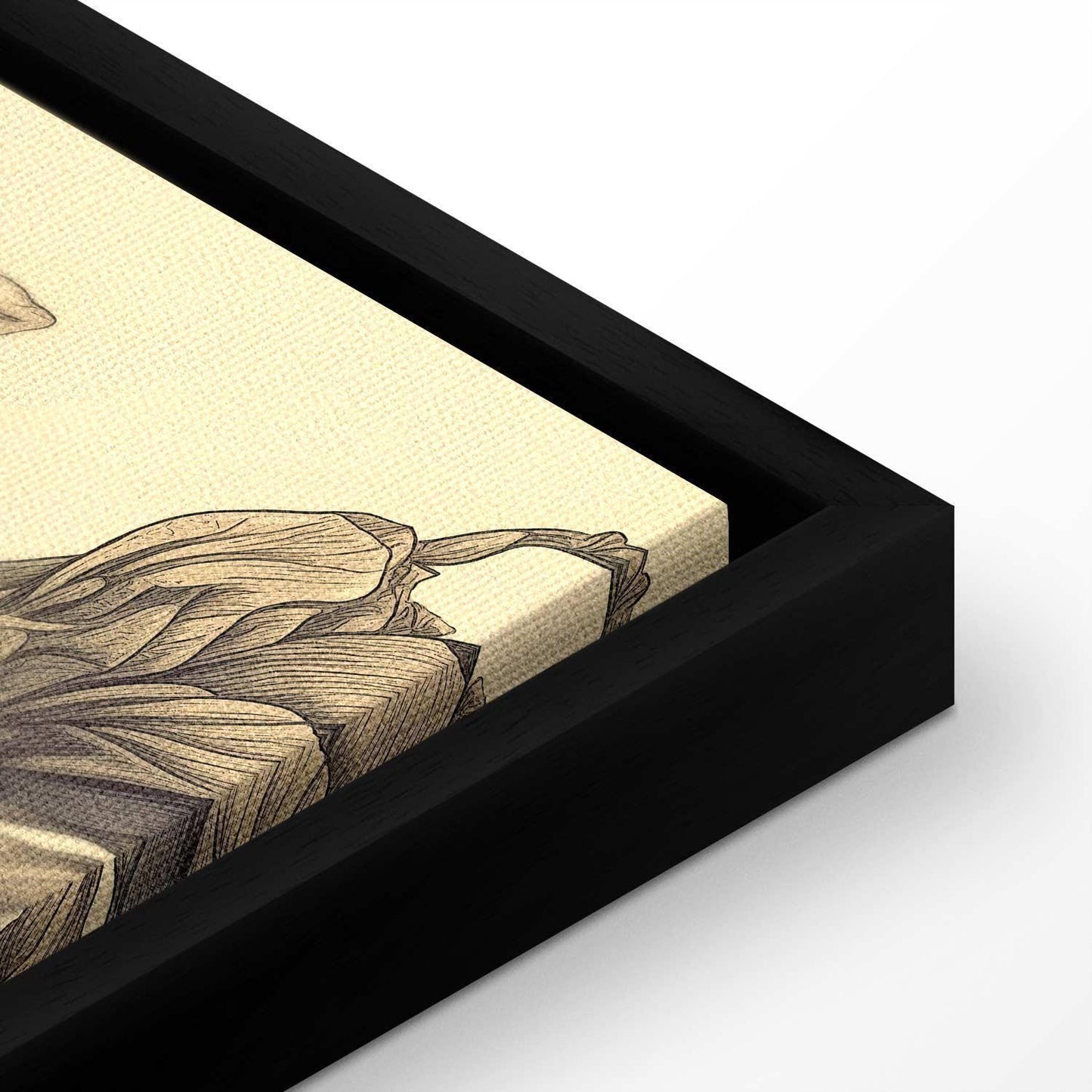 Leinwandbild - Colourful tulips on a cream background