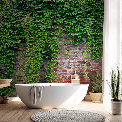 Fototapete - Brick and ivy