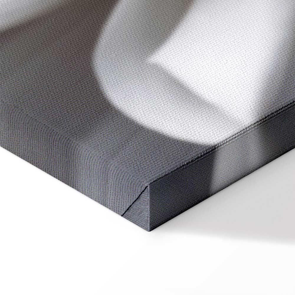 Leinwandbild - White Dahlia