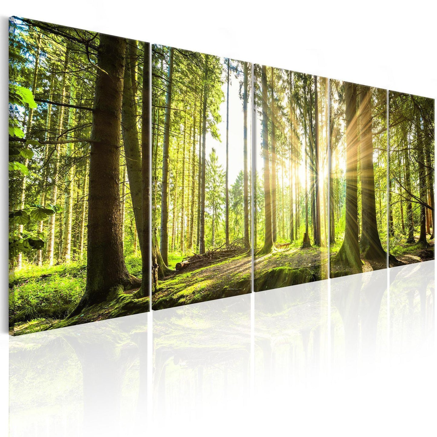 Leinwandbild - Sunlight Artgeist