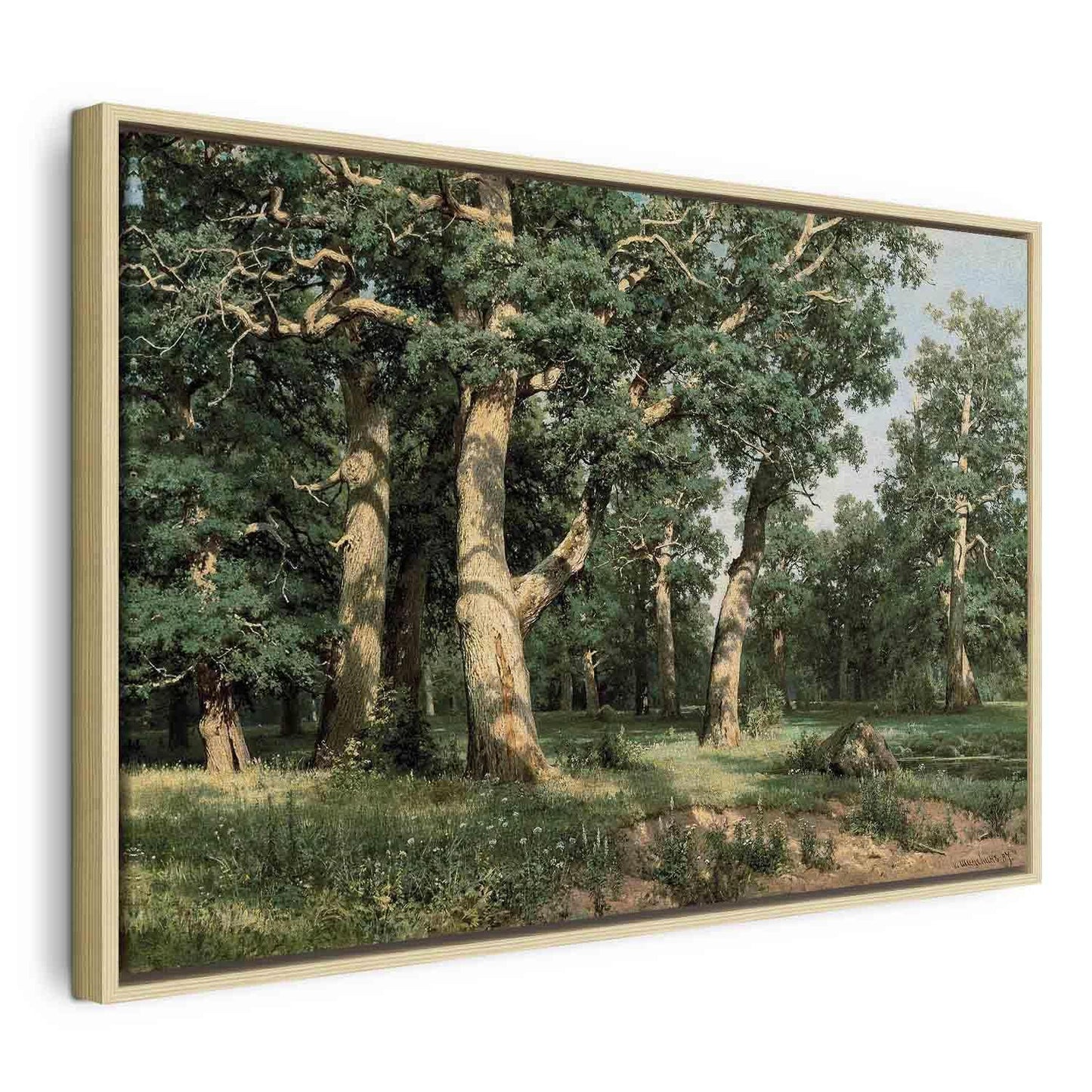 Leinwandbild - Ivan Shishkin – Oak Forest
