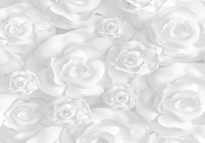 Fototapete „Plaster Flowers“ – Zarte Blumen auf verputztem Hintergrund