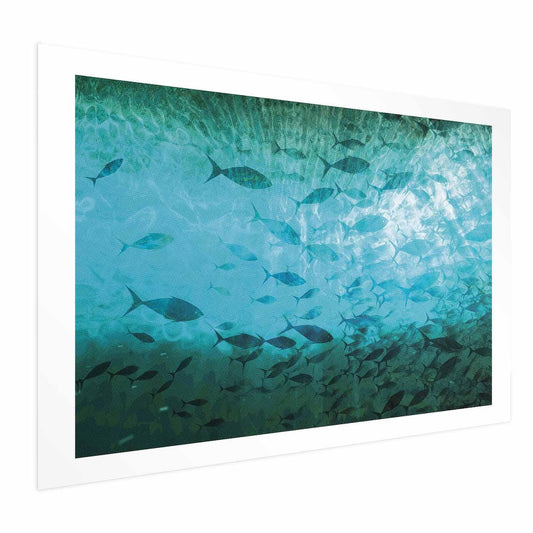 Poster - Group of Dark Fish