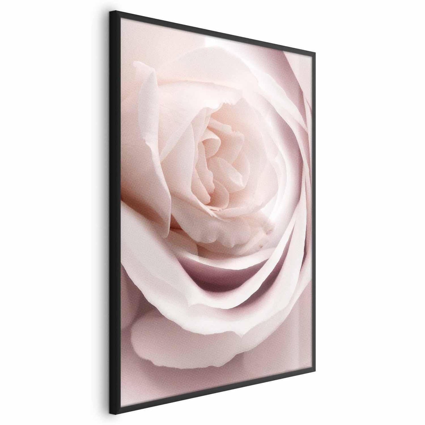 Poster Porzellan-Rose – Zarte Eleganz in Rosé