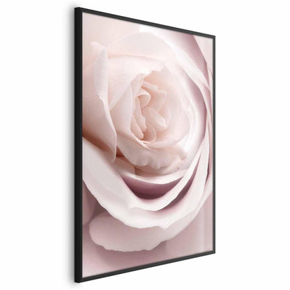 Poster Porzellan-Rose – Zarte Eleganz in Rosé