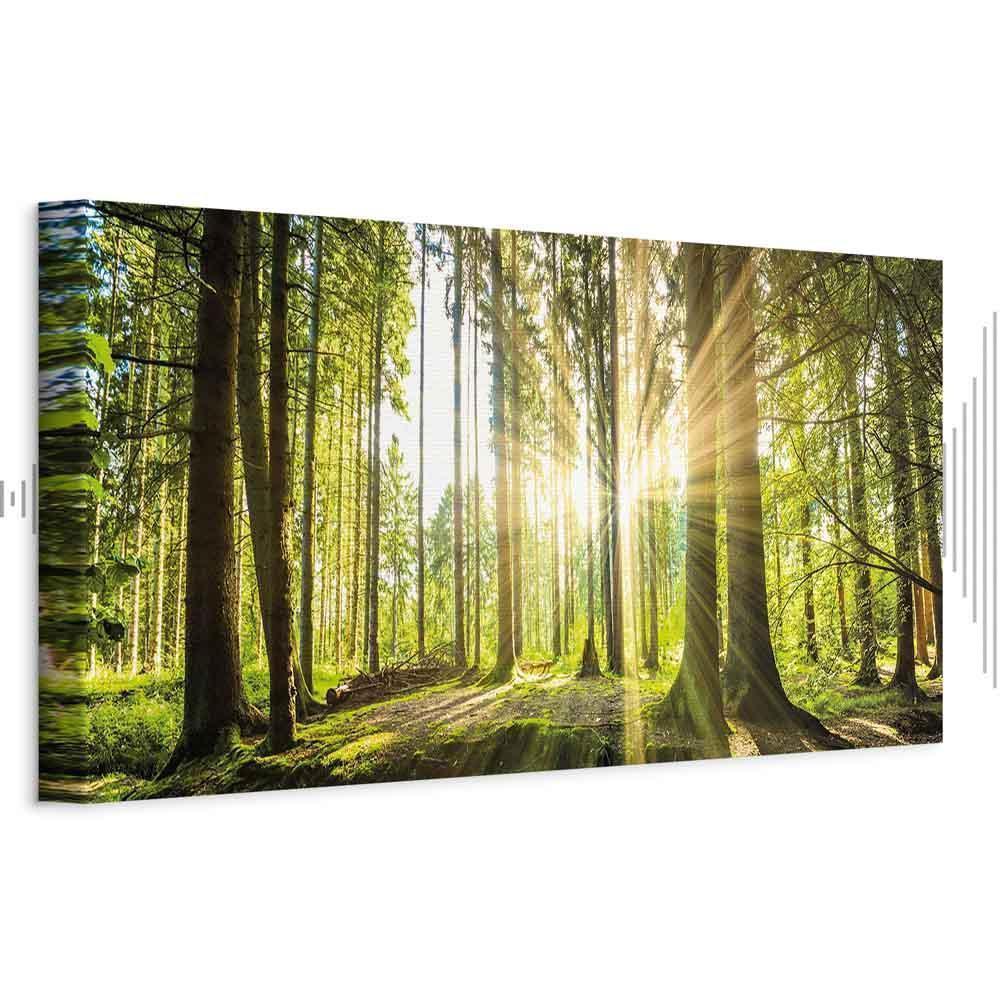 Leinwandbild - Daylight