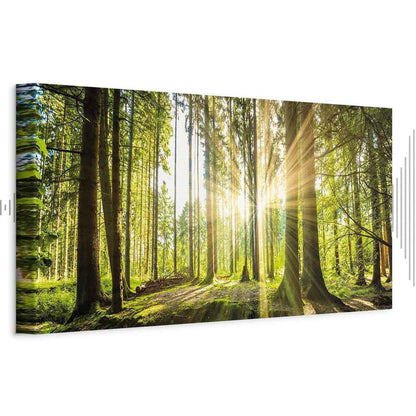 Leinwandbild - Daylight