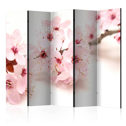 Paravent - Cherry Blossom II Artgeist