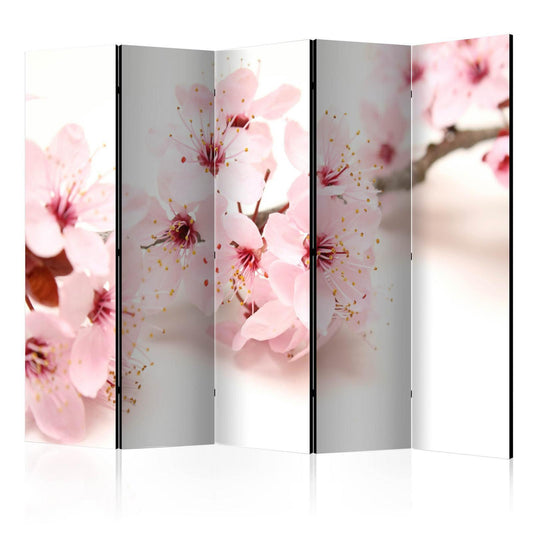 Paravent - Cherry Blossom II Artgeist