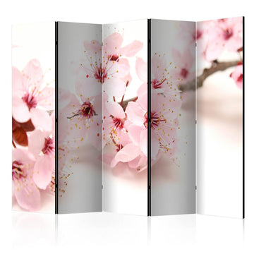 Paravent - Cherry Blossom II Artgeist