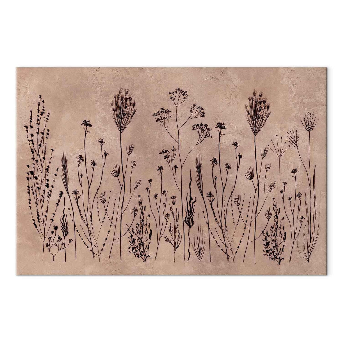 Leinwandbild - Wildflowers – black plants on lime-wash background