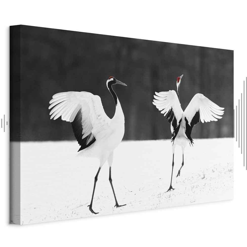 Leinwandbild - Dancing Cranes (1 Part) Wide