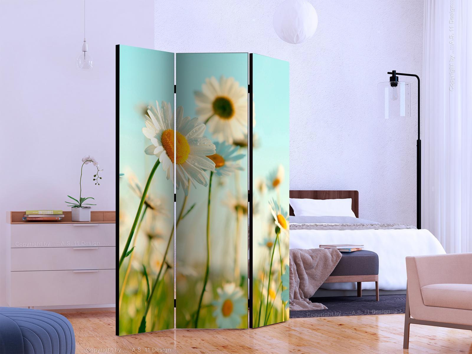 Paravent - Daisies - spring meadow Artgeist
