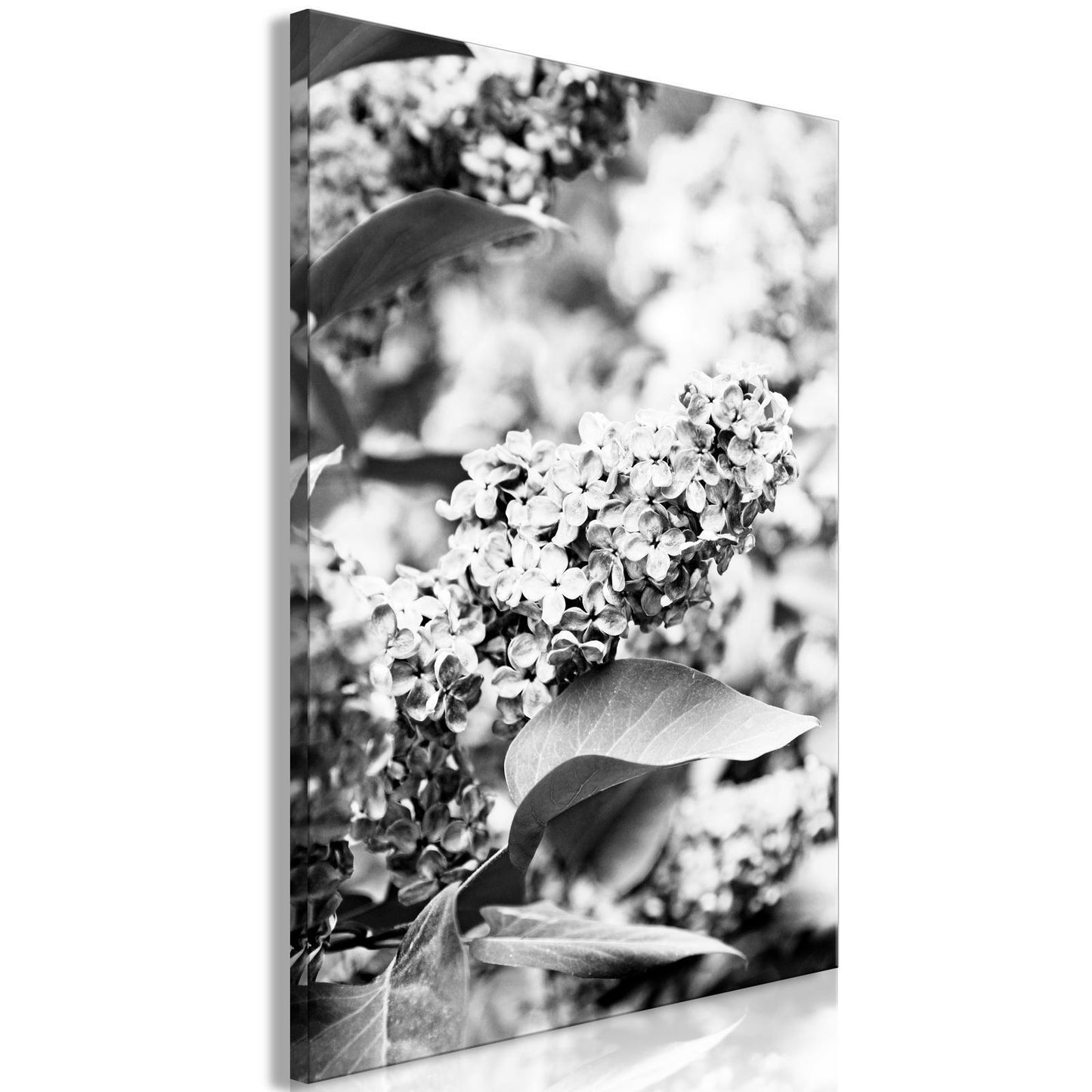 Leinwandbild Monochrome Flieder – Modernes Wandbild in Violett, stilvolles Geschenk