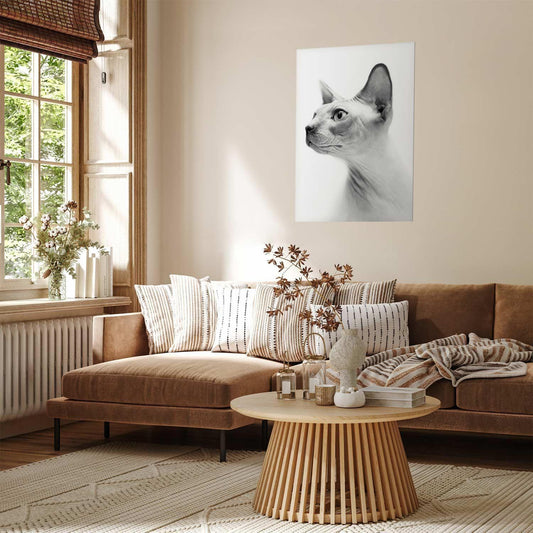 Poster - Hairless Cat Artgeist