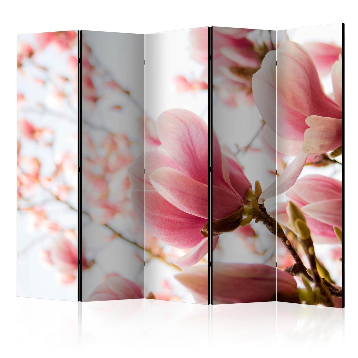 Paravent - Pink magnolia II Artgeist