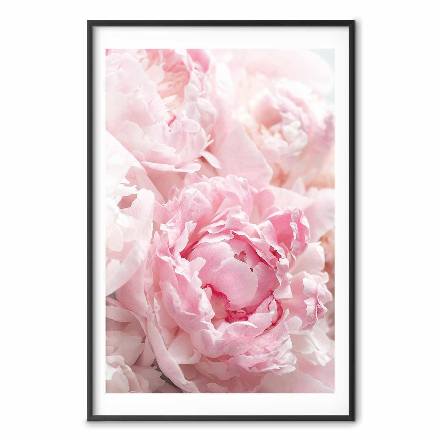 Poster - Morning Nostalgia