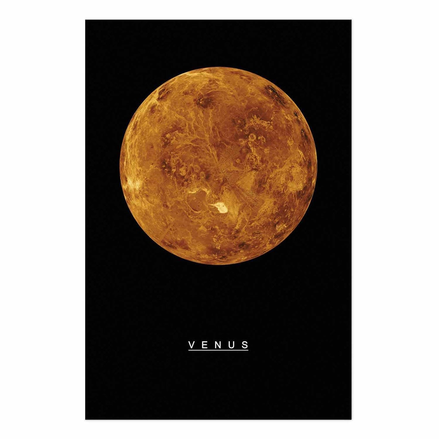 Poster - Venus
