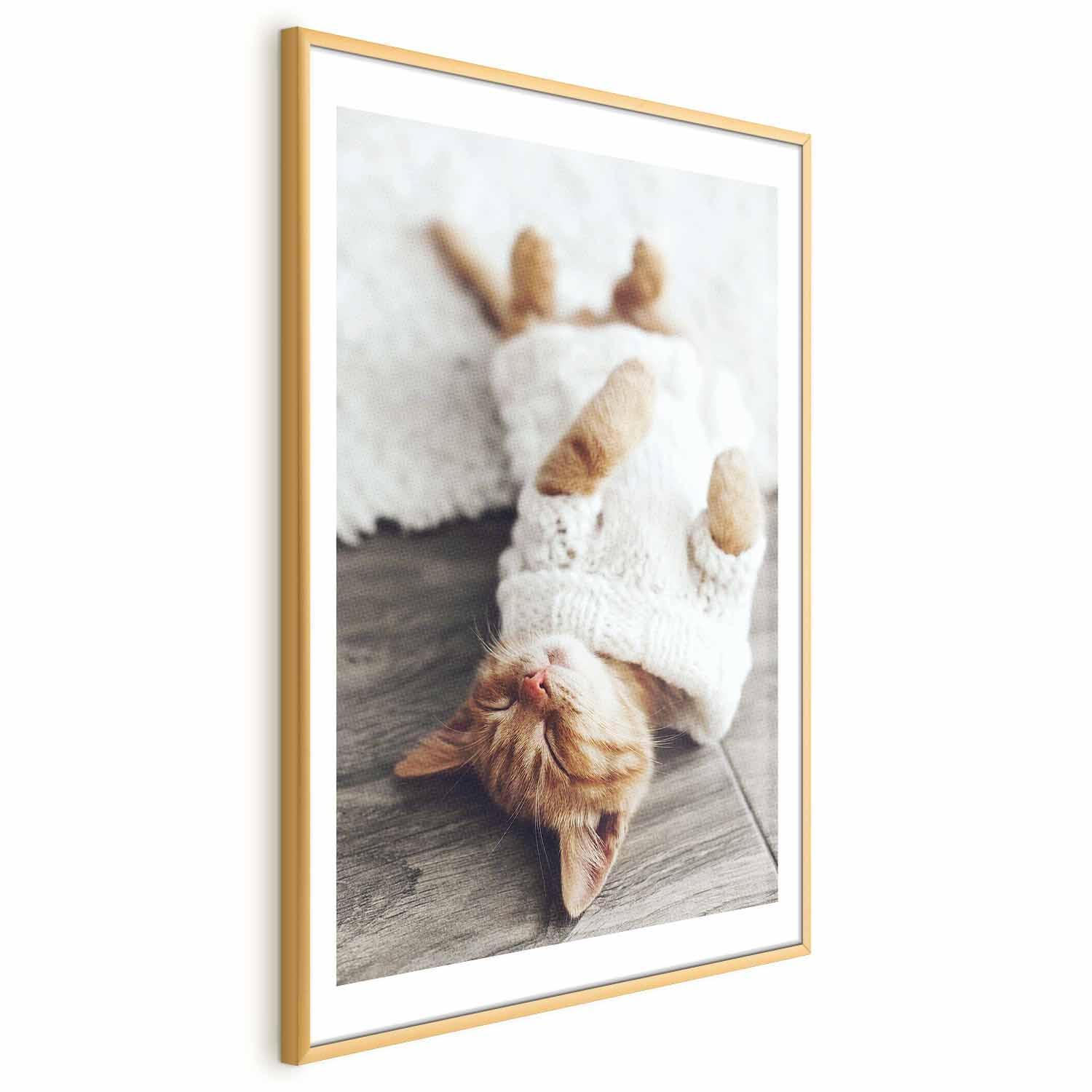 Poster - Lazy Cat Artgeist