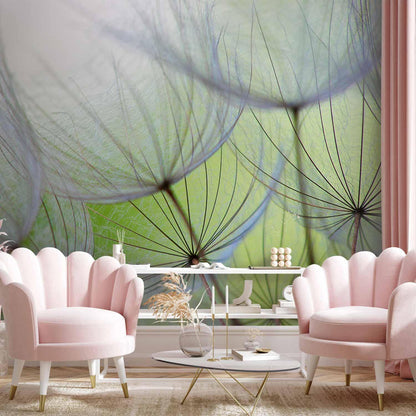 Fototapete - Fleeting moments