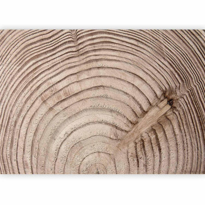 Fototapete Holzmaserung - Authentische Holzstruktur mit natürlichen Brauntönen