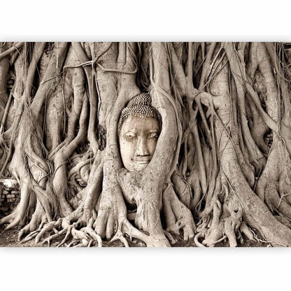 Fototapete Buddha unter dem Baum – Ruhe & Achtsamkeit für dein Zuhause