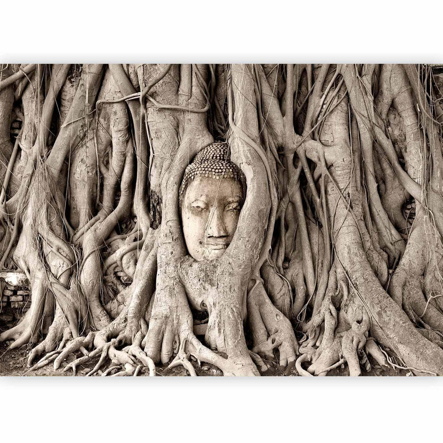 Fototapete Buddha unter dem Baum – Ruhe & Achtsamkeit für dein Zuhause