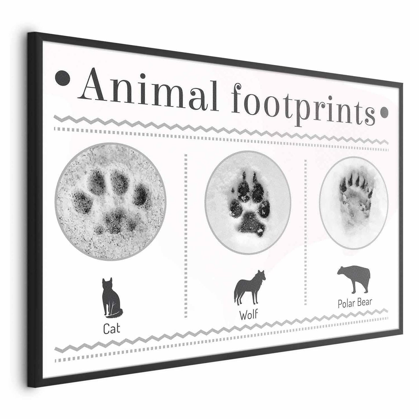 Animal footprints poster featuring paw prints of cat, wolf, and polar bear.